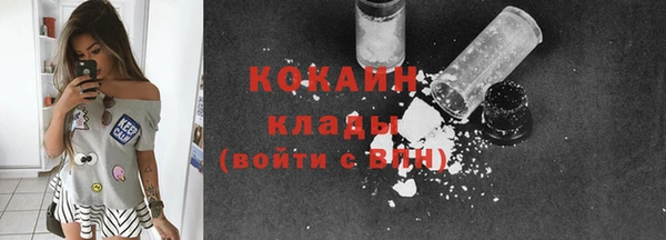 МДПВ Елизово