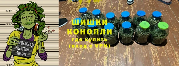 МДПВ Елизово
