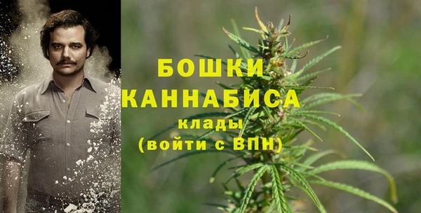 МДПВ Елизово